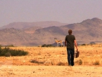 Springbock in der Nähe von Swakopmund / Namibia