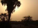 Sunset in Agadez