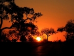 Sunset im Kruger Park